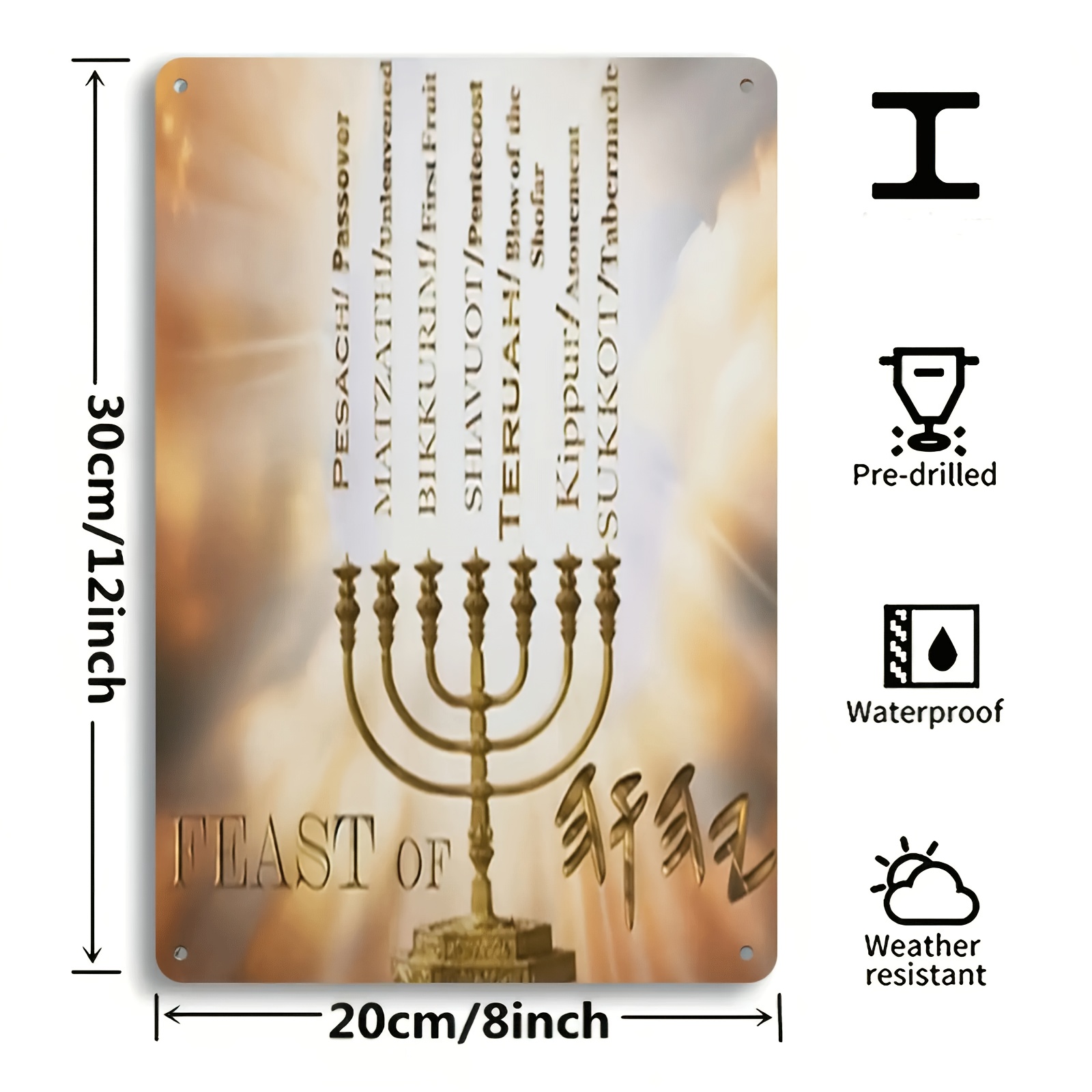 CIFBUYHebrew Star of David Alu - Home Decor review and price